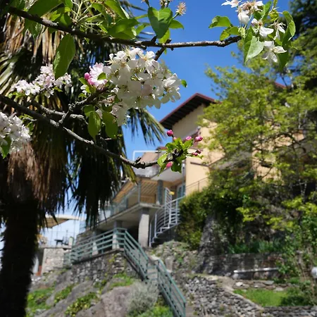 Casa Porta Di Cielo Lobelia Daire Dervio